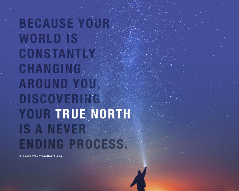 True North by Bill George